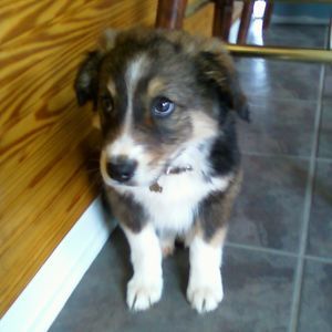 Meet your Posher, Jon